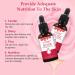 Rose Oil Essential Oil - Moisturizing, Anti-Aging, and Skin Brightening Formula for Aromatherapy and Relaxation - 30ml - Buy Online on SooperMarket.com