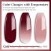 YTD Likomey Gel Polish Set 15ml Color Changing Nude Pink Burgundy Red and Glitter Nails Gel Kit Fall Winter Thermal Ombre Change Colors Translucent Salon Manicure UV Nail Vernis 2 Pcs 0.5 Oz 2-nude Pink Burgundy Red 15 ml (Pack of 2) - Buy Online on SooperMarket.com