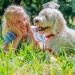 Nobby Soft Grip Collar - Light Green/Brown 40-55 cm 25 mm Width - Premium Quality Pet Accessory for Dogs - Buy Online on SooperMarket.com
