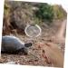 GANAZONO 6 Pcs Reptile Sand Shovel Reptichip Strainers Fine Mesh Pet Poo Shovel Silver Stainless Steel 20X7X3CMx3pcs Silverx3pcs - Buy Online on SooperMarket.com