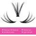 30D 0.07 D Curl Cluster Lashes 12-18mm Mixed Trays - DIY Eyelash Extensions at Home - Buy Online on SooperMarket.com
