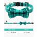 Tagme Turquoise Cat Collar with Personalized Name & Phone Number - Safe Kitten Neck Band with Bell | 1 Pack - Buy Online on SooperMarket.com