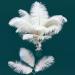 12pcs Natural White Ostrich Feathers Plumes 10-12inch(25-30cm) Bulk for Wedding Party Centerpieces  Easter Carnival  Flower Arrangement and Home Decorations White 12PCS