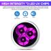 Darkbeam UV Torch 365nm Flashlight | Rechargeable Blacklight 36W LED | Portable Pet Urine Detector | Resin Curing & Leak Detection - Buy Online on SooperMarket.com