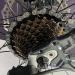 Hycline Bike Freewheel 8 Speed 13-32T Threaded Type for Cycling Replacement - 6/7/8/9 Speed Options Available - Buy Online on SooperMarket.com