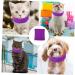 FRCOLOR 2pcs Portable Snood Dog Supply for Warm Pets Accessory Earmuff Comfortable Pet Elastic Puppy Lint Sx2pcs Purplex2pcs - Buy Online on SooperMarket.com