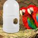 2Pcs Bird Waterer Pigeon Drinker Dispenser - Plastic Pet Water Feeder for Parrot Cage - Buy Online on SooperMarket.com