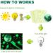 1503pcs Green Glow in The Dark Stars Wall Stickers | Realistic 3D Luminous Stars for Ceiling and Walls | DIY Adhesive Stickers for Baby Bedroom Decoration - Buy Online on SooperMarket.com