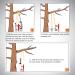 Arborist Friction Saver Tree Climbing Cambium Saver - Retrievable Anchor Loop Belt Sling CE Certified 23KN 47.2 in/35.4 in 35.4 Feet - Buy Online on SooperMarket.com