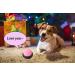 Dog Buttons Talk Training Dog Buttons for Communication Pet Talking Training Answer Buzzer 30 Second Record &Playback Funny Gift for School Study Office Home (Packs-4) - Buy Online on SooperMarket.com