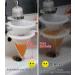 Clscea Aquarium Brine Shrimp Sieve Eggshell Separator Kit - 80 Mesh & 200 Mesh | Artemia Collecting Net for Brine Shrimp Hatchery - Buy Online on SooperMarket.com