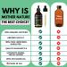 Moringa Oil - USDA Organic 100% Pure & Cold Pressed | Natural Moisturizer for Skin Face Hair | Gluten Free Non-GMO & Vegan (2oz - Buy Online on SooperMarket.com