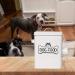 Vumdua Pet Treat and Food Storage Container - Airtight Dog Food Container with Scoop, Farmhouse Design, White - Perfect Gift for Dog Owners - Buy Online on SooperMarket.com
