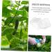 SUPVOX 2pcs for Growing Grow Tools Growth Shaped Forming Reusable Shape Fruit Shaping Plastic - Buy Online on SooperMarket.com