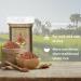 Buy Royal Thai Brown Long Grain Fragrant Rice - 1 KG | Premium Quality International Shipping - Buy Online on SooperMarket.com