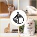 Frevoitna Cat Dishes with Leash - Adjustable Cat Harness Reflective & Breathable - Ideal for Walks (Black XS) - International Shipping Available - Buy Online on SooperMarket.com
