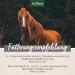 AniForte Bronchial Herbs for Horses 1kg - Natural Respiratory Support with Methylcysteine | Cough Relief & Healthy Airways - Buy Online on SooperMarket.com