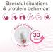 Beaphar CatComfort Calming Starter Kit | Reduces Anxiety & Stress | Firework Fear Relief | 70m Coverage | Lasts 30 Days - Buy Online on SooperMarket.com