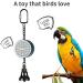 Colorday Bird Talking Coach & Voice Bell Toy (Patent Pending) Blue - Buy Online on SooperMarket.com