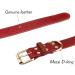 Tagme Personalized Leather Dog Collar - Engraved Name & Phone Number - Coral Red for Small to Large Dogs (33-39cm) - 1-Pack - Buy Online on SooperMarket.com