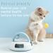Suhaco 3-in-1 Interactive Cat Toy Set with Feather Wand, Catnip Ball, and Bell Track Toy - Self Play Fun for Indoor Cats - Blue - Buy Online on SooperMarket.com