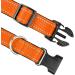 Joytale Reflective Dog Collar for Large Dogs - Orange (Pack of 1) | Durable & Stylish Pet Accessory - Buy Online on SooperMarket.com