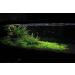 Ultum Nature Systems Controsoil 3L/6lbs - Planted Aquarium Substrate for Freshwater Plants, Shrimp, Aquascape - Black Fine - Buy Online on SooperMarket.com