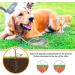 16ft Dog Tie Out Cable with Spiral Ground Stake - Up to 120lb Dogs - Perfect for Playing, Camping, and Backyard - White - Buy Online on SooperMarket.com