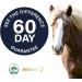 Suppleaze Gold Joint Supplement for Horses - Nourishes Conditions and Supports Your Horses Joints - Optimum Levels of Glucosamine - New Formula with MSM HA Vitamin C And Boswellia 600 g (Pack of 1) - Buy Online on SooperMarket.com