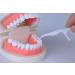 cleanpik toothpick 50 / pack 3 box dental floss teeth clean teeth gum floss - Buy Online on SooperMarket.com