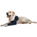 MPS Medical Pet Shirt - TAZ Single Front Leg Sleeve for Dog Small Blue Small - Buy Online on SooperMarket.com
