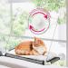 ZALALOVA Cat Window Perch, Cat Hammock Window Seat w/Free Fleece Blanket 2022 Latest Screw Suction Cups Extra Large Sturdy Cat Bed Cat Resting Seat Hold Two Large Cats Indoors (One Extra Suction Cup) White