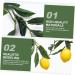HOMSFOU 3 Pcs Simulation Lemon Rattan Lemon Vines Decorative Fruit Artificial Lemon Artificial Vines Garland Summer Garland for Mantle Lifelike Fruit Decoration Wedding Plant Stem Plastic Yellowx3pcs 100x10cmx3pcs - Buy Online on SooperMarket.com