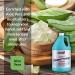 Sanitأ‚ Antibacterial Foaming Hand Soap Refill with Aloe Vera - All-Natural, Moisturizing, 1 Gallon Mango Coconut - Made in USA - Buy Online on SooperMarket.com