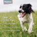 Pharmox Dog & Cat PEA - 100% Pure High Dosage 60 Capsules | Premium Pet Supplement for Health - Buy Online on SooperMarket.com