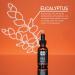 Wilkinson Sword Barber's Style Beard Oil - 30ml | For Men | Premium Grooming Essential - Buy Online on SooperMarket.com