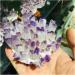 Natural Crystal Cluster Amethyst Specimen Ore Purple Reiki Stone Raw Crystal Home Decor Decoration Gift (Size : 500-600) - Buy Online on SooperMarket.com