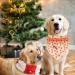 Buy Lionheart Glory Dog Haller - Washable Christmas Bib & Adjustable Kerchief for Small Dogs | Pink Gingerbread Man Design - Buy Online on SooperMarket.com