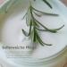 Jean & Len Melting Moisture Body Treatment - Rosemary & Ginger Body Butter for Normal Skin Paraben & Silicone-Free 200ml - Buy Online on SooperMarket.com