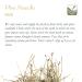 High-Quality Pine Needle Tea - 100g | Natural Pine Branches & Needles for Health Benefits - Buy Online on SooperMarket.com
