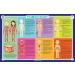 Tot Talk Human Body Educational Placemat for Kids  Washable and Long-Lasting  Double-Sided  Made in The USA