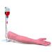 3B Scientific P50 I.V. Injection Arm Model 29.1-Inchx7.5-Inchx5.5-Inch Size