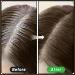 MIELIKKI Hairline Concealer Powder - Instantly Conceal Hair Loss & Thin Hair for Men & Women Stain-Proof Formula Brown 03 - Buy Online on SooperMarket.com