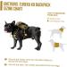 Buy Oneigris Eureka Backpack for Small Dogs - Green Feces Bag Dispenser Ideal for Hiking - L 14 x W 6 x H 18 cm - Buy Online on SooperMarket.com