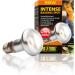 Exo Terra Intense Basking Spot Heat Lamp R20 25W E27 Socket - Pack of 2 | International Shipping Available - Buy Online on SooperMarket.com
