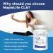 MapleLife Nutrition CLA Conjugated Linoleic Acid 1000 mg Promote Reduction of Body Fat Improve Muscle-to-Fat Ratio - Weight Management Metabolism Support Body Composition Antioxidant Maintain Overall Health 90 Softgels - Buy Online on SooperMarket.com