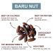 Naturtonix Baru Nut Butter - Peanut Free, Vegan & Kosher Certified, Creamy & Thick with Only 3 Ingredients, Gluten Free with 7g Protein - 11 Ounces - Buy Online on SooperMarket.com