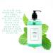 Buy Vitabath Cool Spearmint & Thyme Hand Soap - Nourishing Cleansing Moisturizing 16 oz | Cruelty-Free Gluten-Free Paraben-Free - International Shipping Available - Buy Online on SooperMarket.com