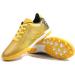 Sainilei Children Soccer Shoes - Boys FG/AG Outdoor Football Shoes & Men's TF Professional Training Shoes 30 EU S2325TF GOLD - Buy Online on SooperMarket.com