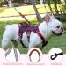 Multi-Purpose Dog Harness & Leash Set - Outbreak-Proof Anti-Train Safety Harness for Small & Medium Dogs (Pink M) - Buy Online on SooperMarket.com